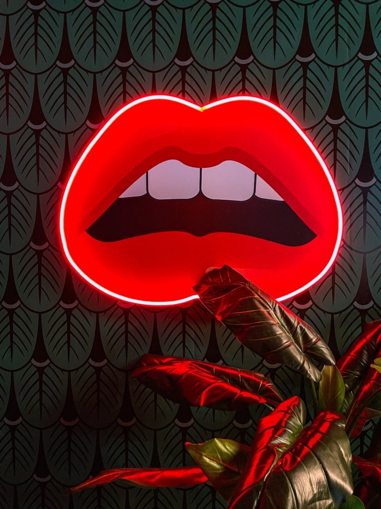 Vordergrund: eine Zimmerpflanze. Hintergrund und Fokus: eine große Grafik von einem offenen Mund, eingefasst von Neonlicht
