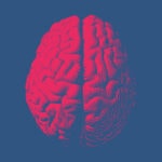 CMD und Gehirn