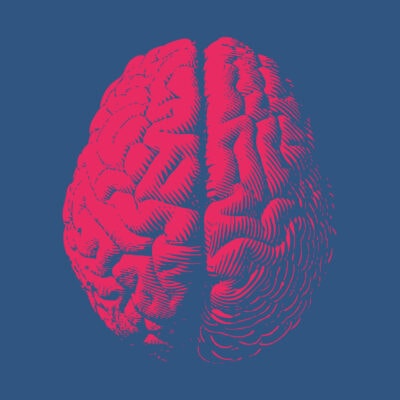 Cmd und das Gehirn