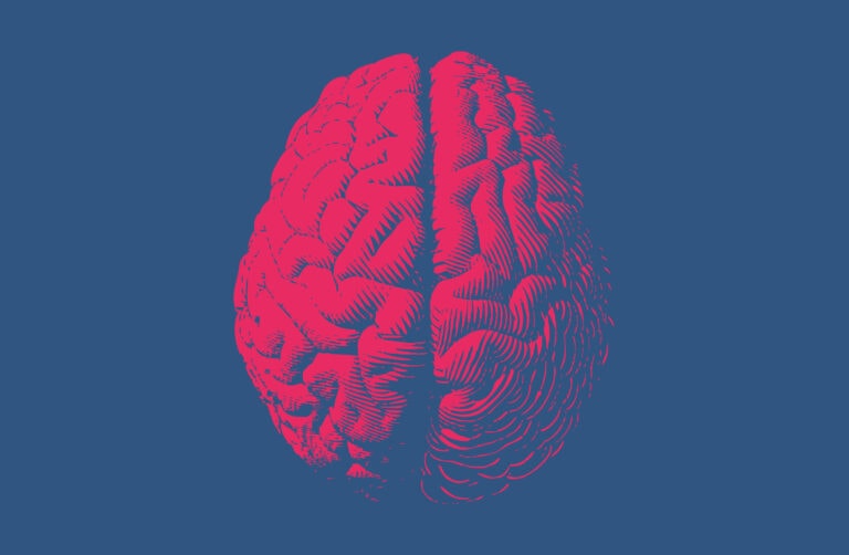CMD und Gehirn